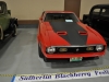 benifit-car-show-2013-066